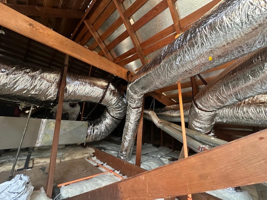 Attic decked and sanitized by Pure Eco after full cleanout