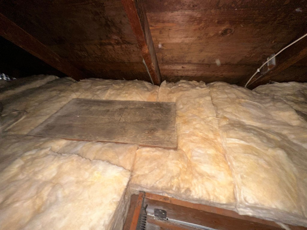 Los Angeles attic before Pure Eco cleaning — contaminated insulation and debris