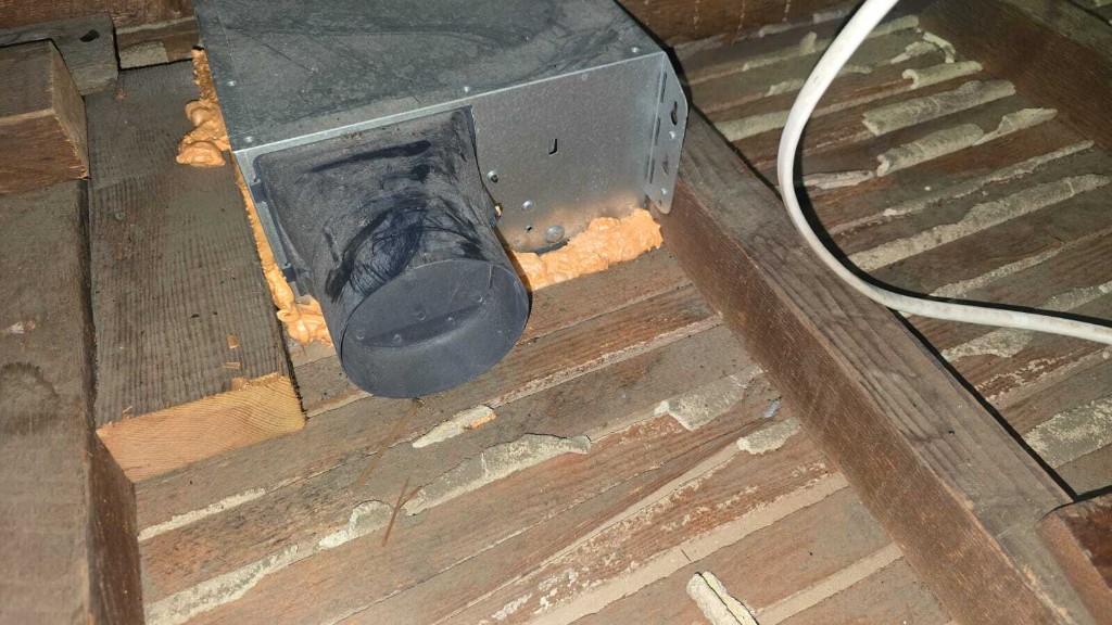 Attic decked and sanitized by Pure Eco after full cleanout