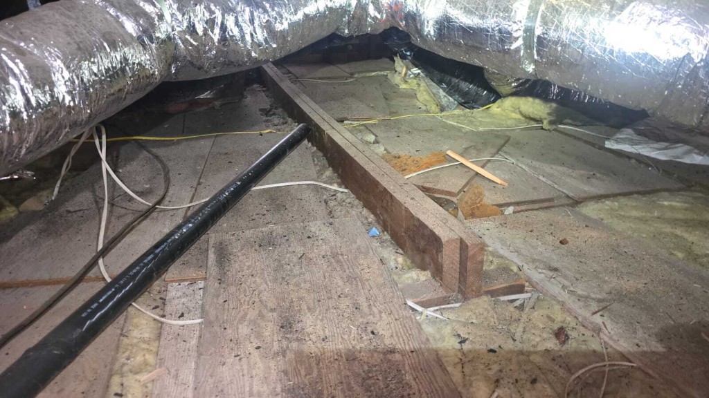 Los Angeles attic before Pure Eco cleaning — contaminated insulation and debris