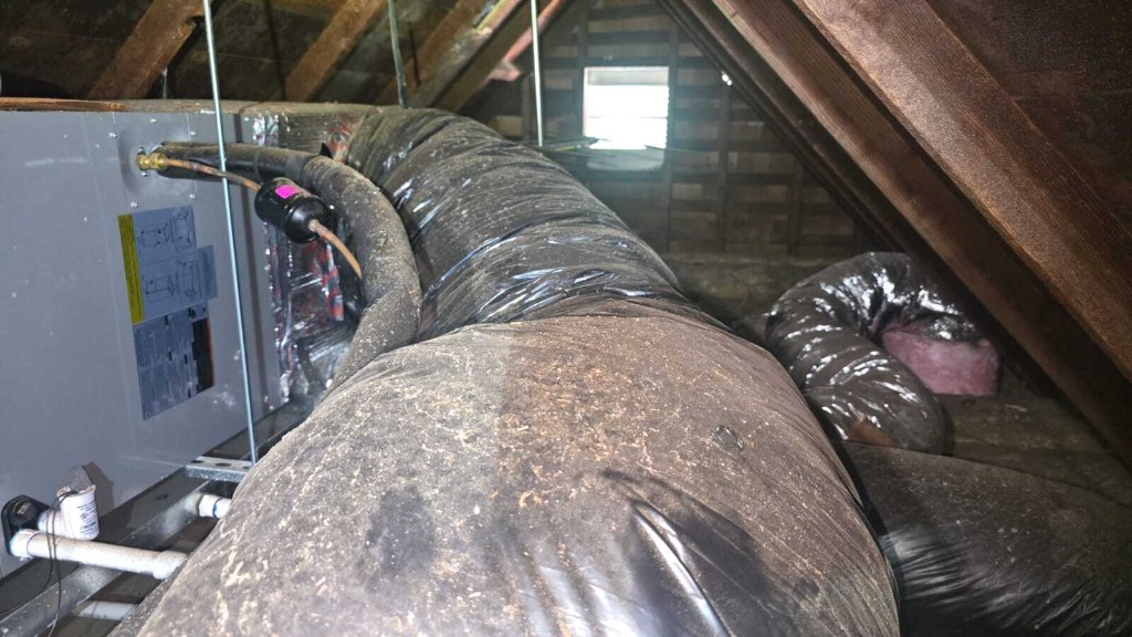 Los Angeles attic before Pure Eco cleaning — contaminated insulation and debris