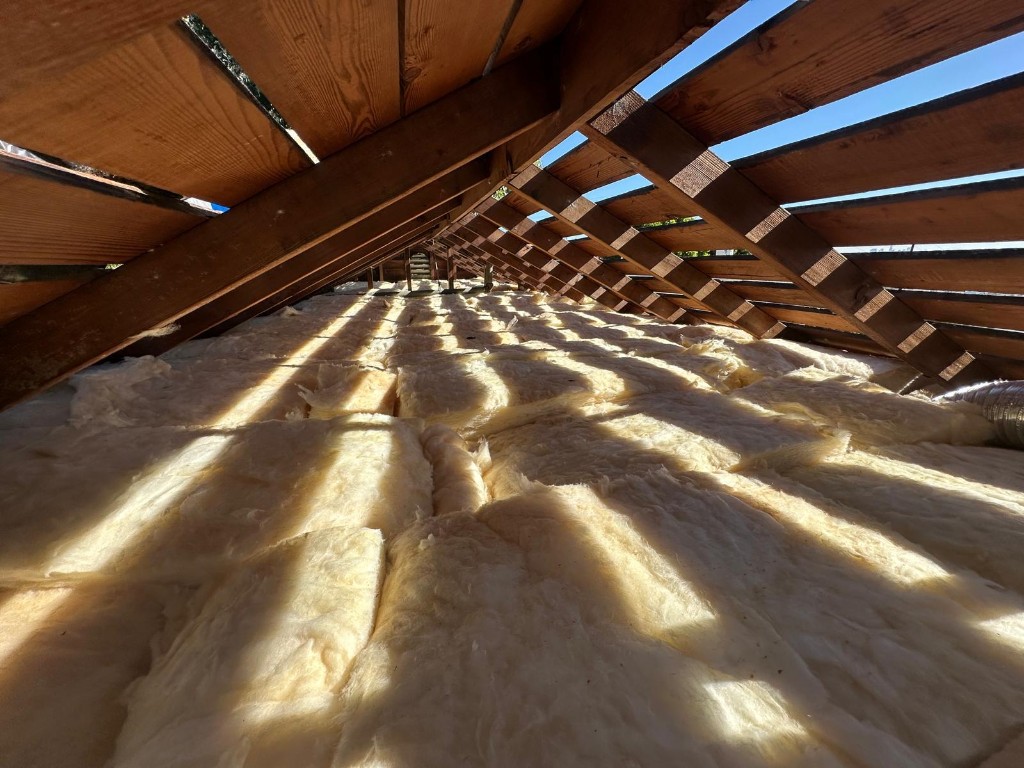 Attic decked and sanitized by Pure Eco after full cleanout