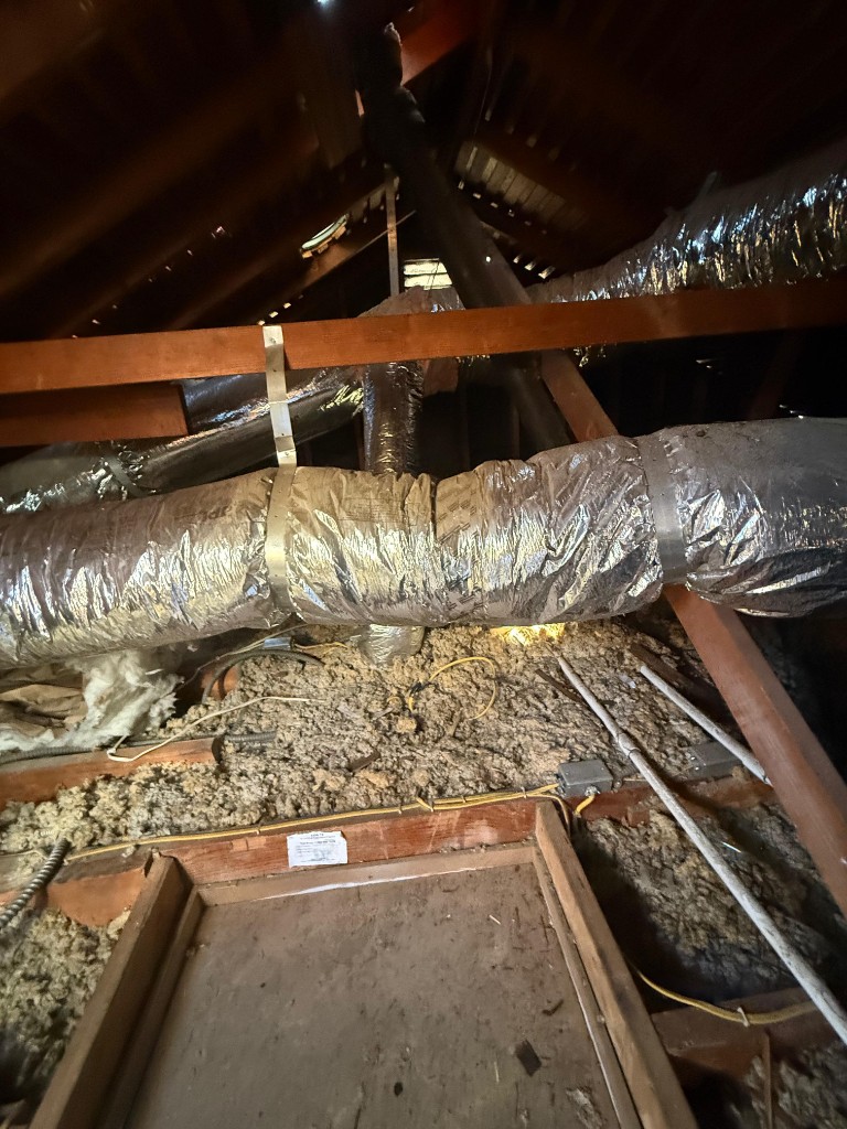 Attic with settled, contaminated batt insulation before Pure Eco replacement