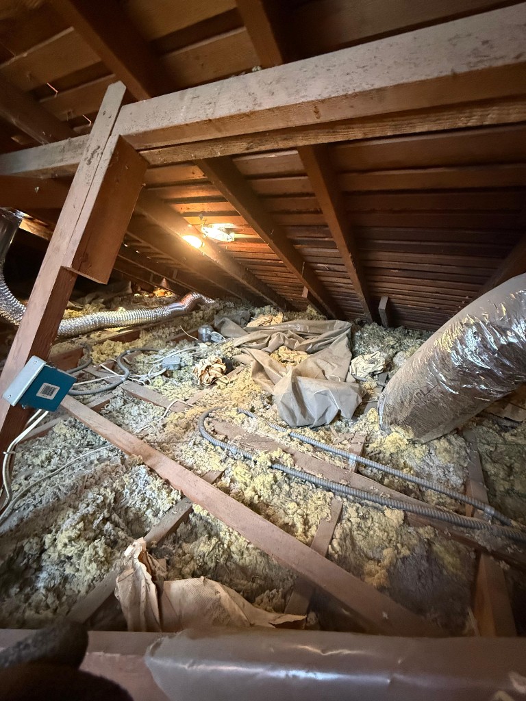 Attic with settled, contaminated batt insulation before Pure Eco replacement