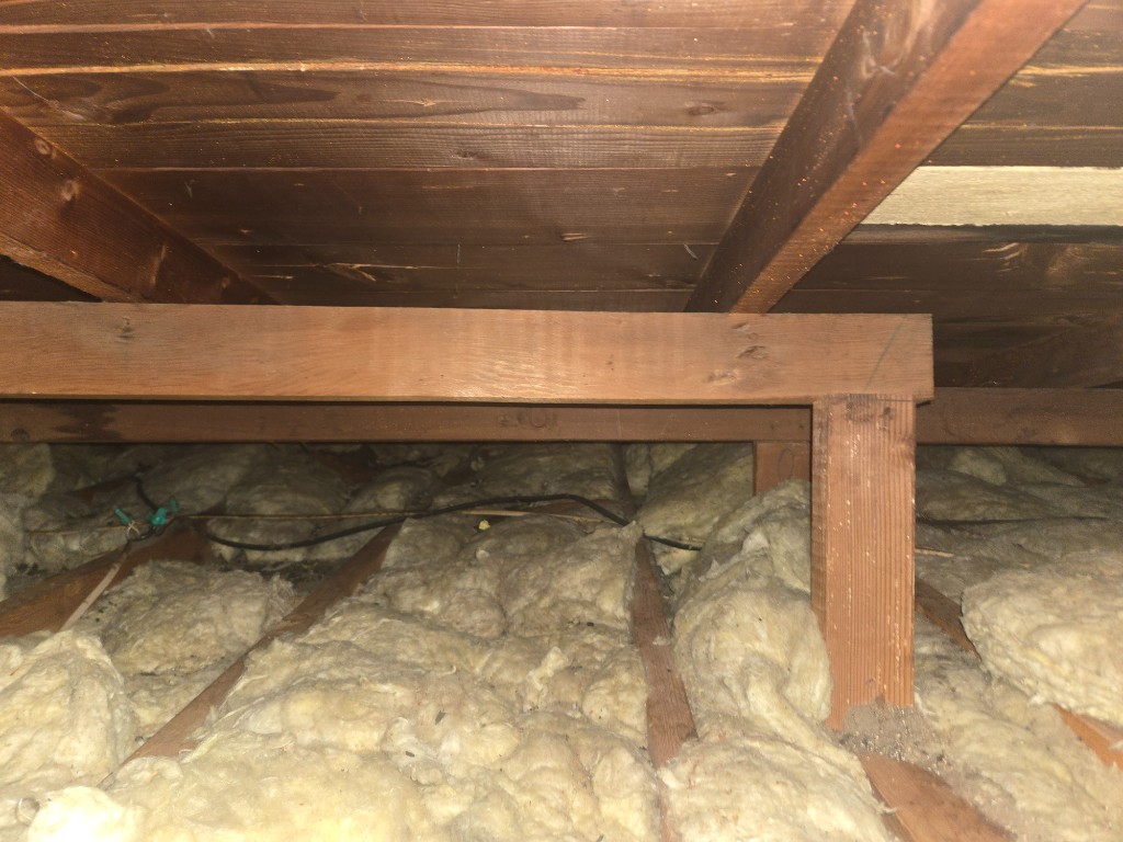 Attic entry point and contaminated insulation before rodent exclusion