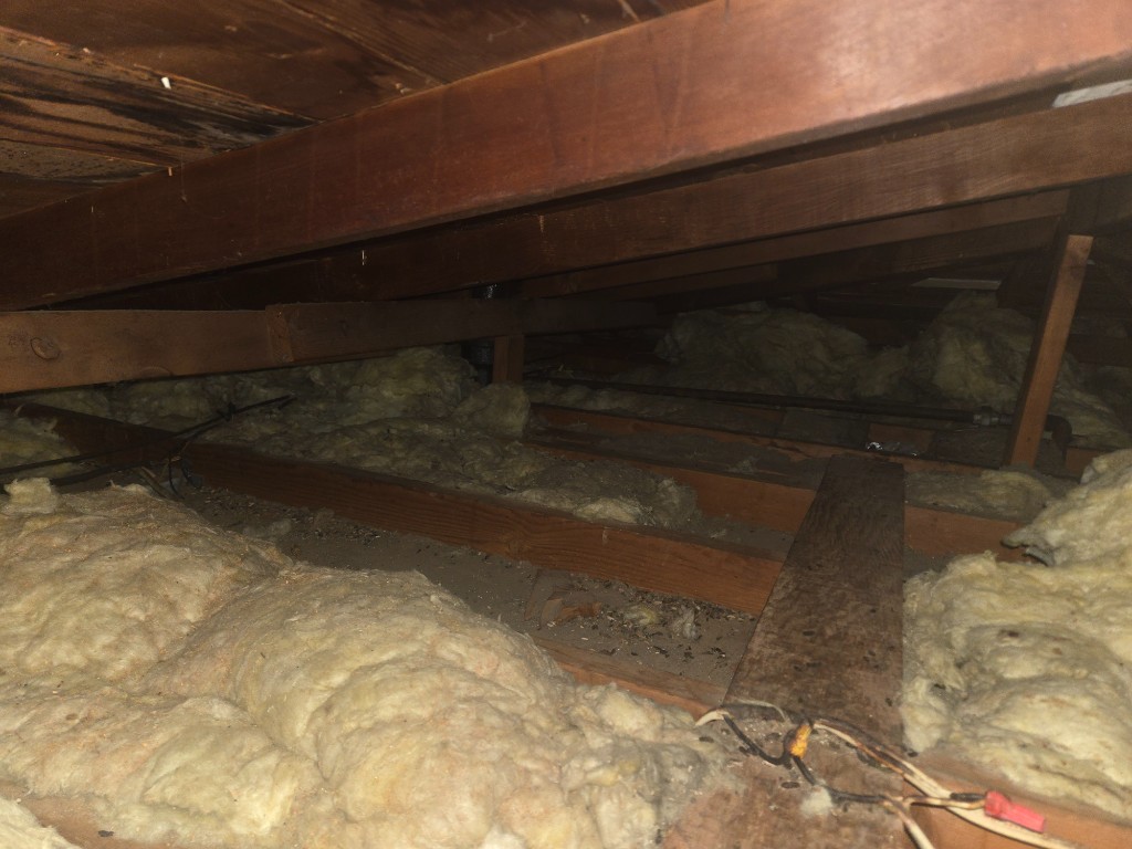 Hardware cloth exclusion sealed around attic penetrations