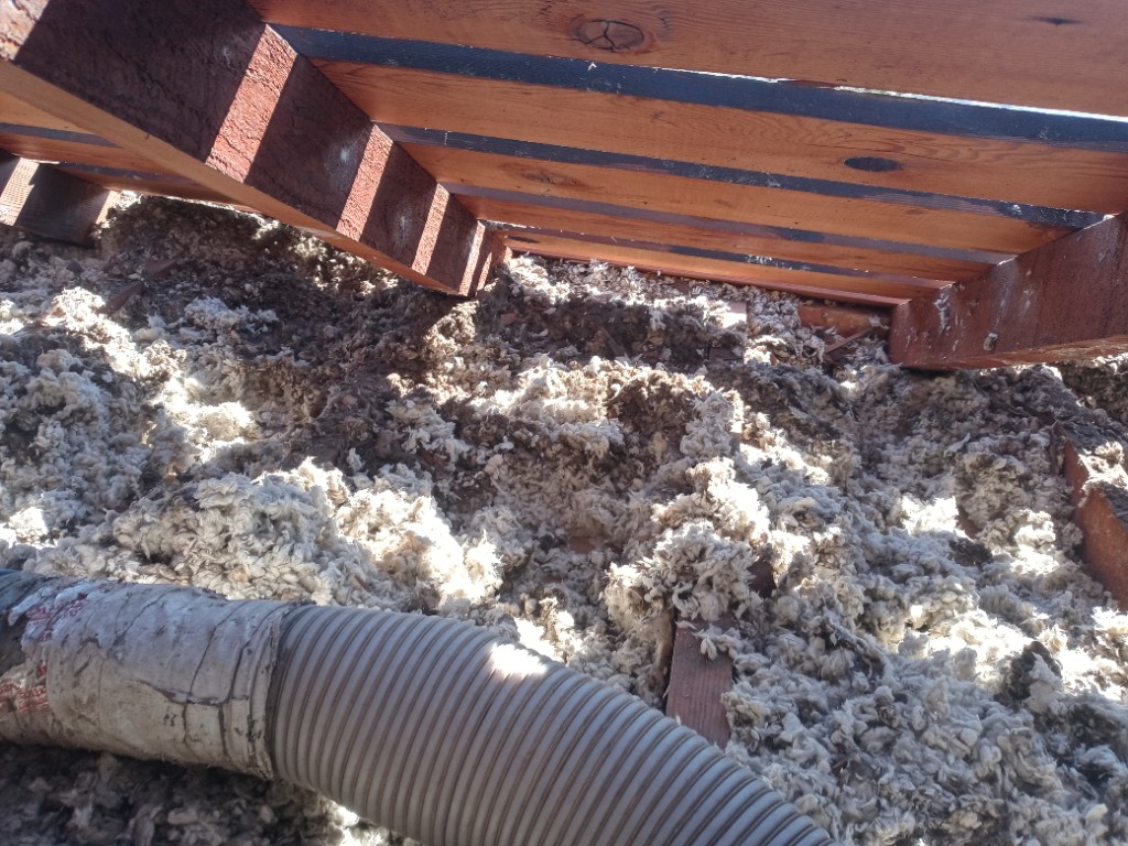 Pure Eco crew vacuuming and bagging old attic insulation in protective gear