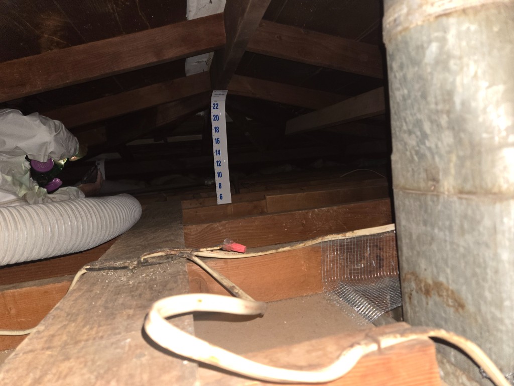 Hardware cloth exclusion sealed around attic penetrations