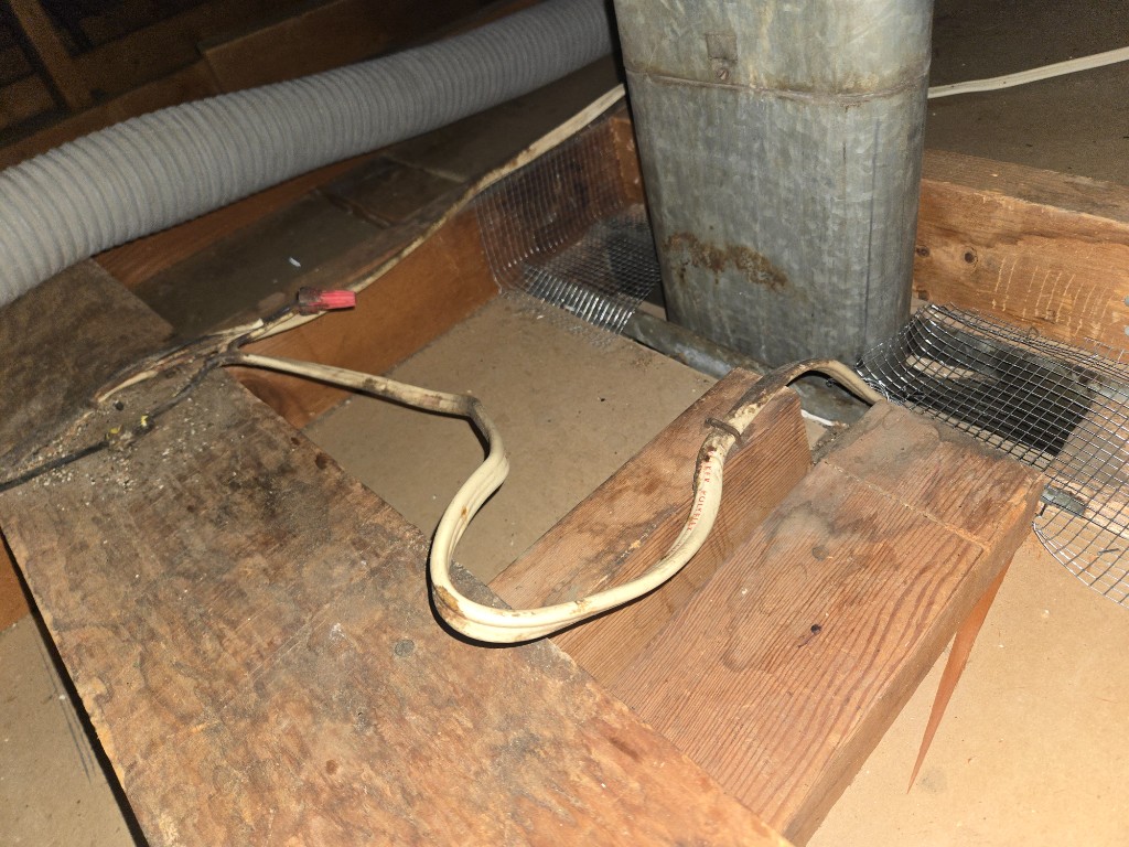 Hardware cloth exclusion sealed around attic penetrations