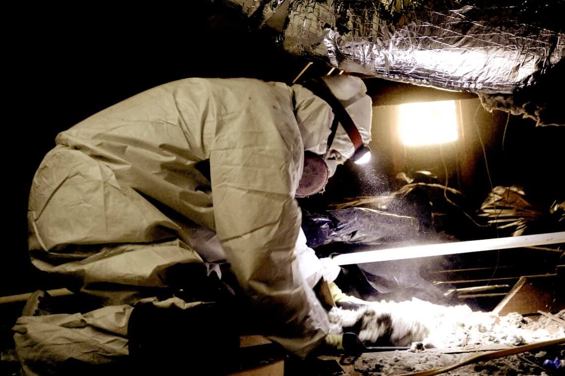 Pure Eco crew vacuuming and bagging old attic insulation in protective gear