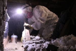Pure Eco crew vacuuming and bagging old attic insulation in protective gear