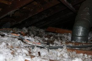 Los Angeles attic before Pure Eco cleaning — contaminated insulation and debris
