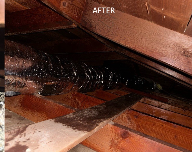 Attic decked and sanitized by Pure Eco after full cleanout