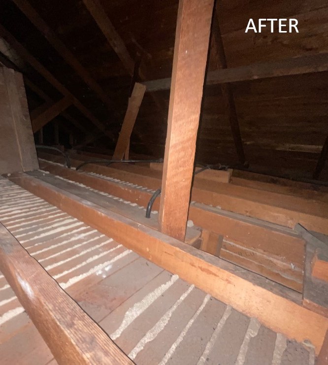 Attic decked and sanitized by Pure Eco after full cleanout