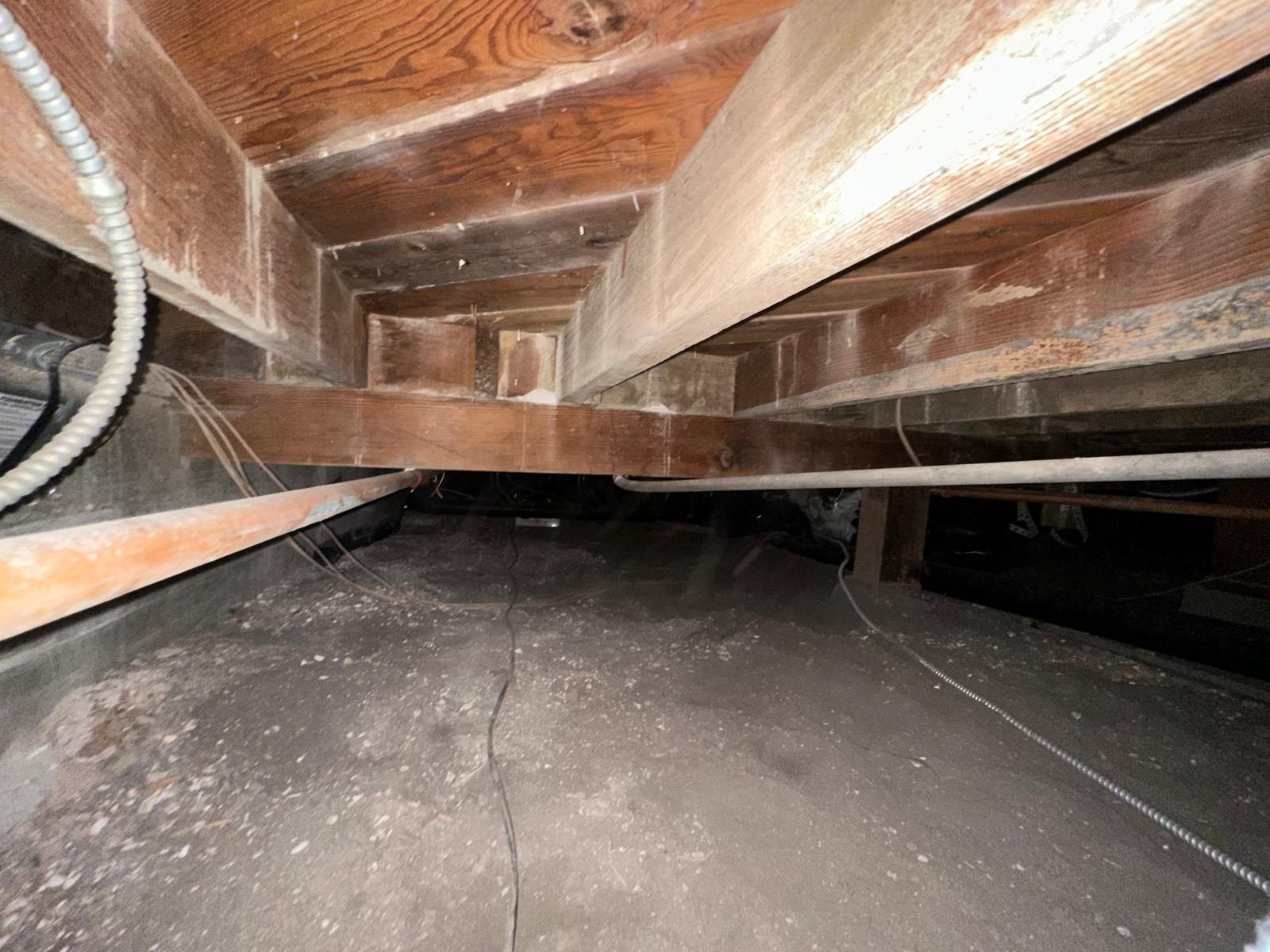 Crawlspace cleared and prepped after Pure Eco cleaning