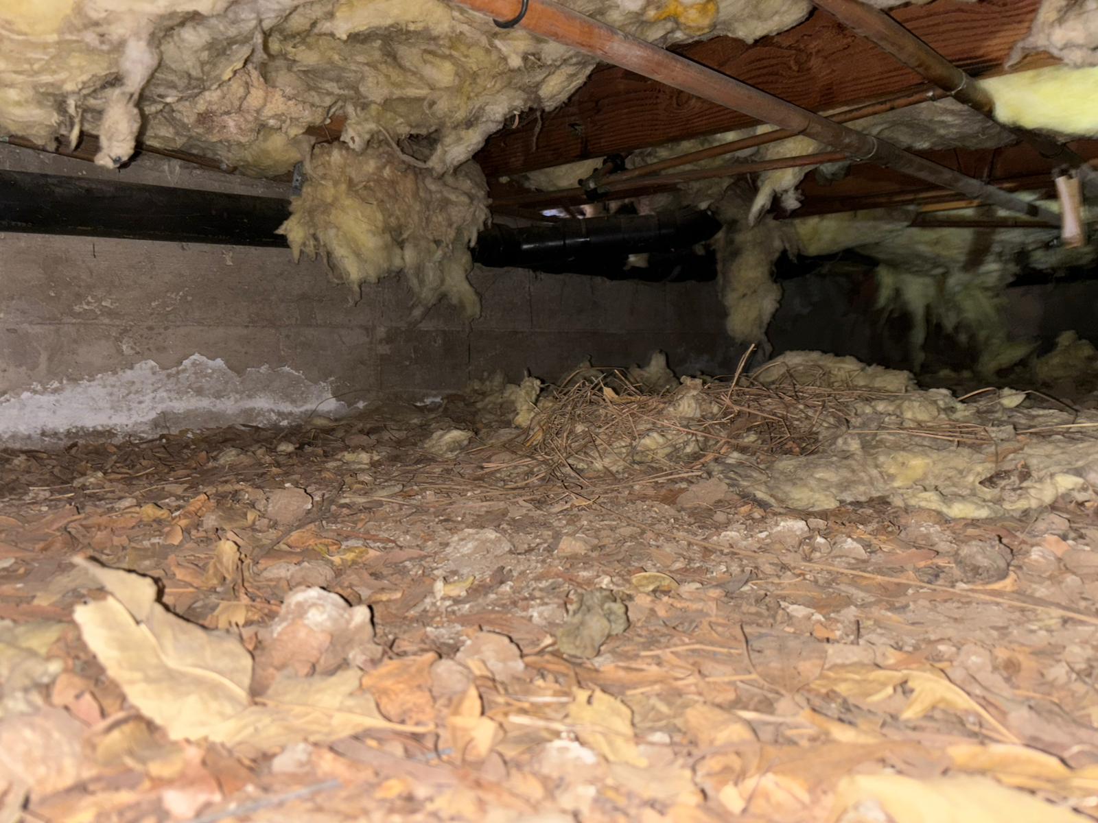 Crawlspace with fallen insulation and debris before Pure Eco cleanout