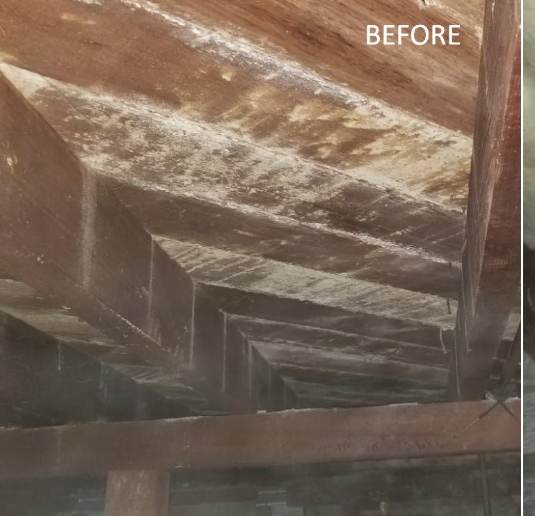 Crawlspace with failed underfloor insulation before replacement