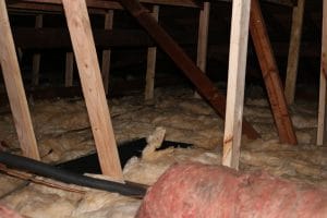 Attic with settled, contaminated batt insulation before Pure Eco replacement
