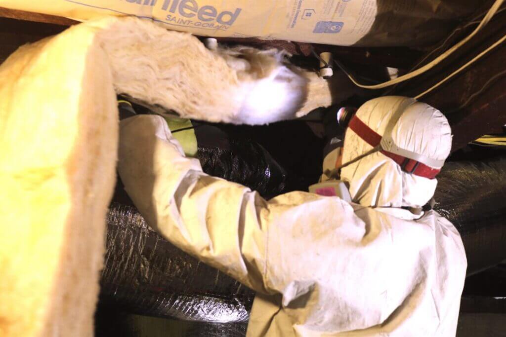 Pure Eco installer placing new fiberglass batts between attic joists