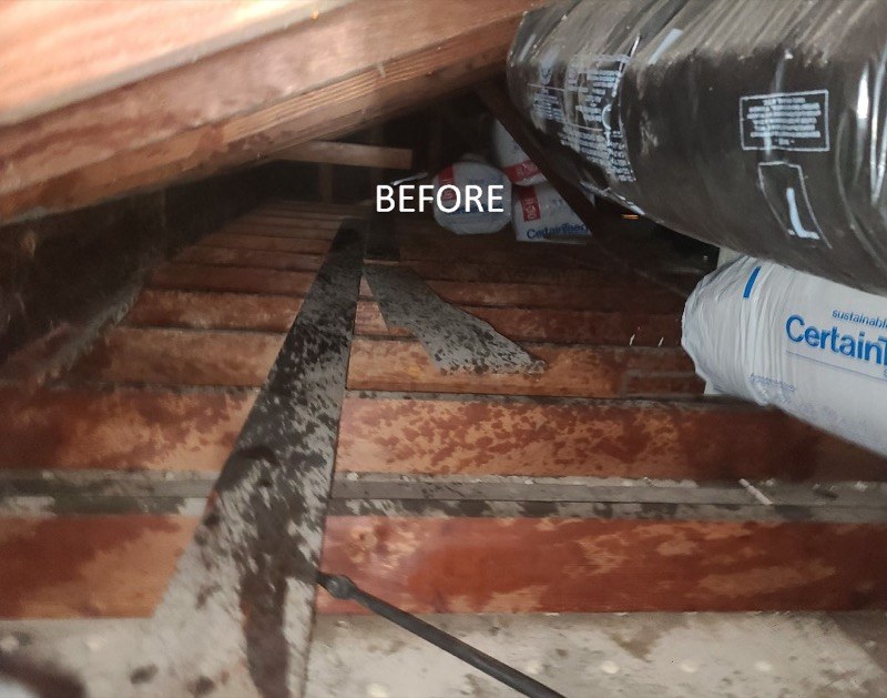 Attic with settled, contaminated batt insulation before Pure Eco replacement