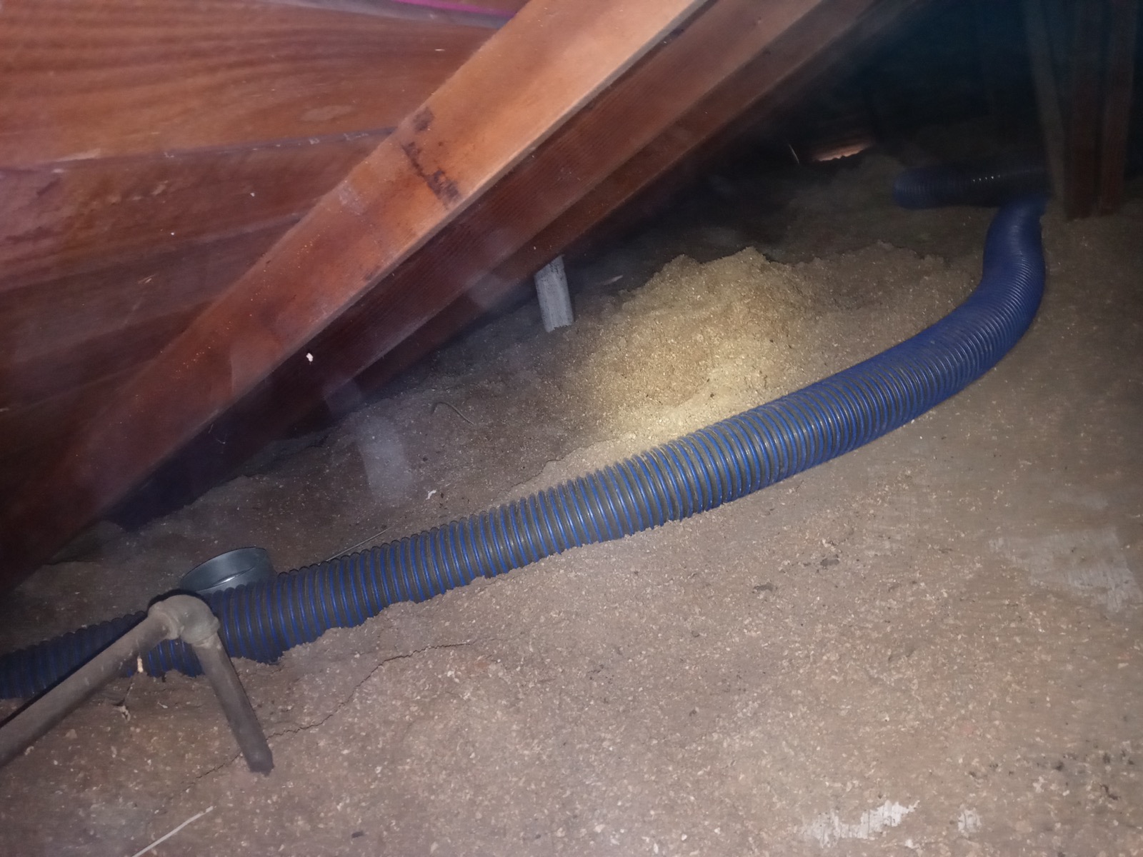 Pure Eco installer placing new fiberglass batts between attic joists