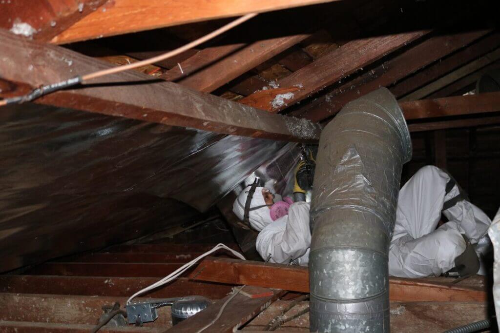 Pure Eco technician stapling radiant barrier to attic rafters