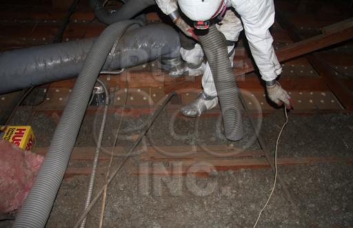 Crawl space cleaning services from Pure Eco Inc