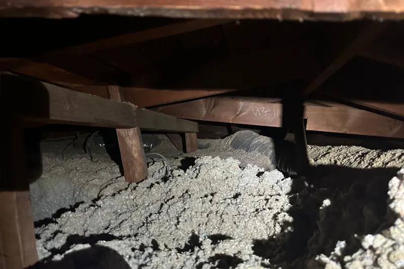 State of the Attic Before Professional Intervention by Attic cleaning company - Pure Eco Inc