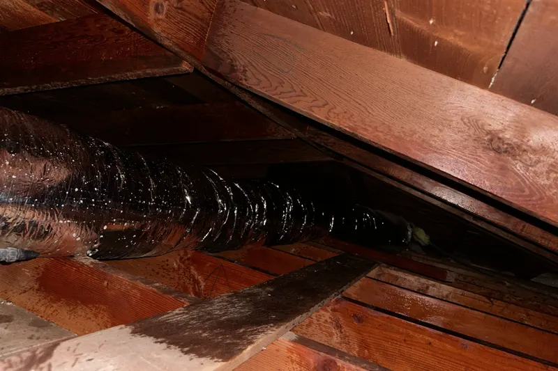 Effect after Attic cleaning services from PureEcoInc